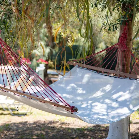 Zervos Bouka Daire Lefkimmi (Corfu)