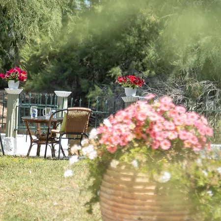 Zervos Bouka * ليفكيمي