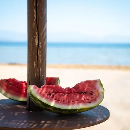 Zervos Bouka ليفكيمي