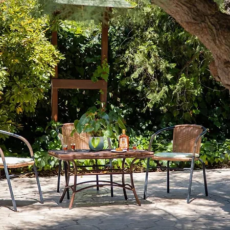 Zervos Bouka * ليفكيمي