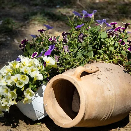 Zervos Bouka شقة ليفكيمي