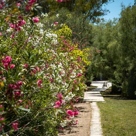 Zervos Bouka شقة ليفكيمي
