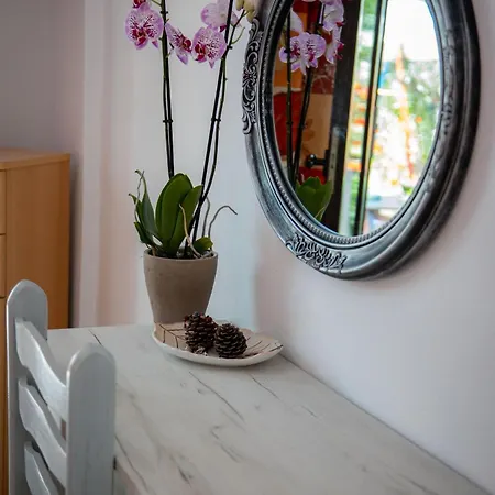 Zervos Bouka * ليفكيمي