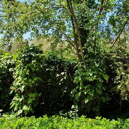 شقة Zervos Bouka *